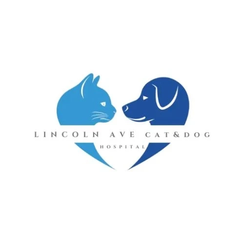 Why Lincoln Avenue Veterinary Clinic and Lincoln Cat Hospital Are Trusted Partners in Pet Wellness