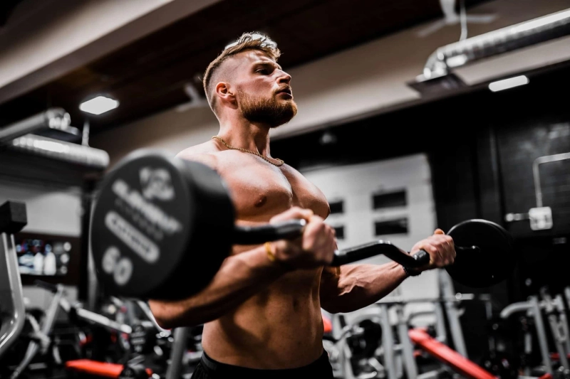 Best Muscle Building Supplement - Which Supplement is Right For Your Body?
