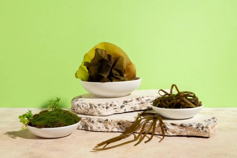 Buy Sea Moss: What to Look for to Ensure Quality and Purity
