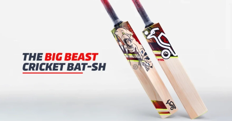 5 Key Benefits of Choosing SS Bat English Willow for Your Cricket Game