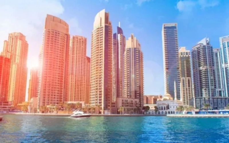 Professional Landscape Management Services in Dubai