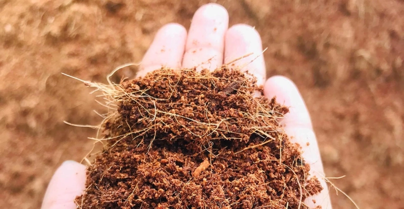 How to Choose the Best Coco Peat Suppliers in Canada