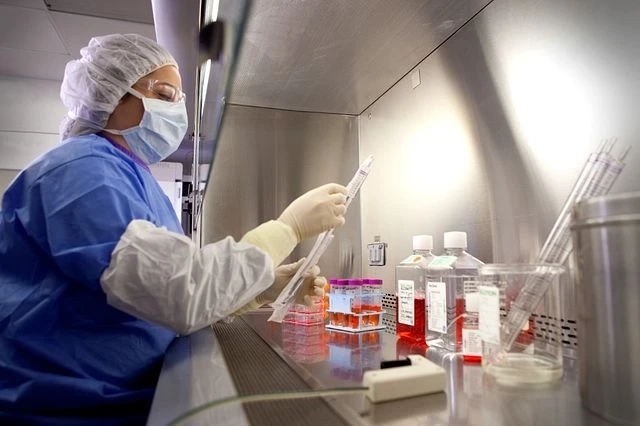 Mycoplasma Testing Market 2022: Size, Share, Analysis and Forecast-2027