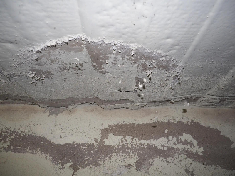 How to Treat Damp Walls Internally? 