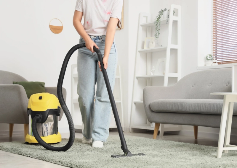 Carpet Cleaning Services Enhancing Hygiene Comfort And Indoor Appearance