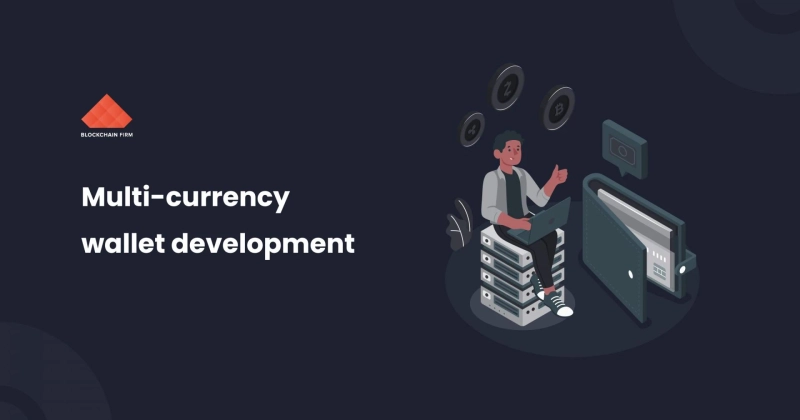 Why Should You Need a Multi-Cryptocurrency Wallet? Top 4 Reasons
