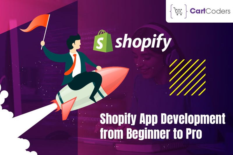 Shopify App Development: From Beginner to Pro
