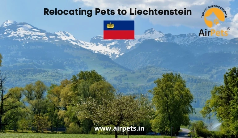 Relocating Pets to Liechtenstein