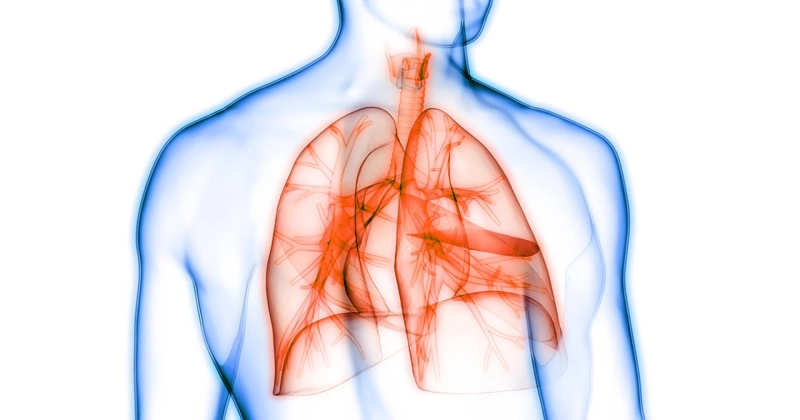Heart And Lung Function Are Improved By The Use Of Pulmonary Arterial Hypertension Drug
