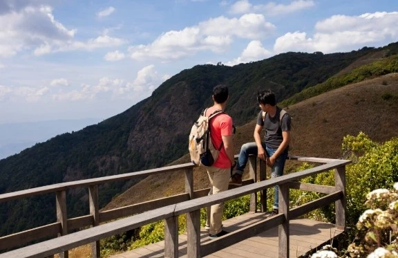 Collpa Chuncho Macaw Tour: Birds, Boats, and Jungle Views