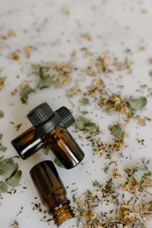 CBD Oil For Dogs: Factors To Look For!