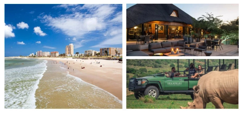 Port Elizabeth to Cape Town: Ultimate Garden Route Luxury Trip