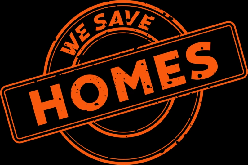 Common Issues Solved by Pest and Termite Control in Bayswater