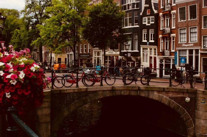 Hybrid Learning Abroad: The New Frontier for Global Students in 2025