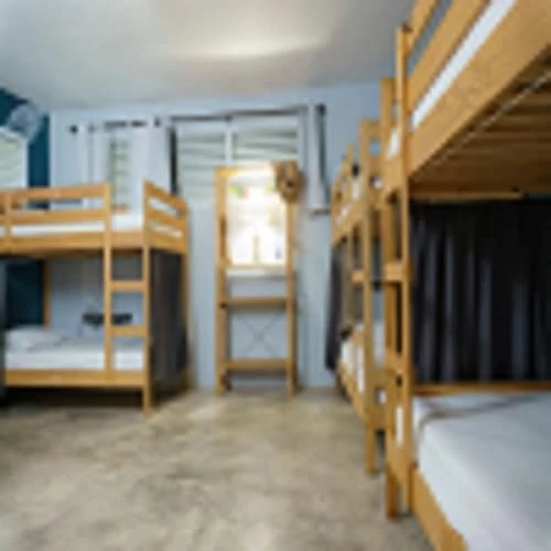 Why Choosing a Hostel Can Be an Ideal Deal for you?