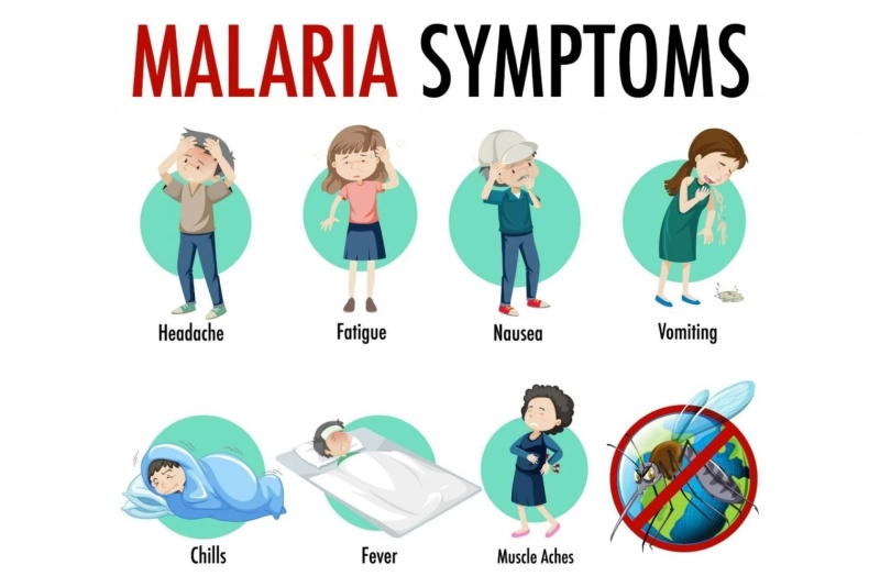 From Strategy to Access: Mastering Market Entry in the Malaria Disease Sector | DLI