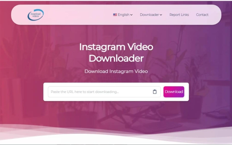 Instagram Video Downloader