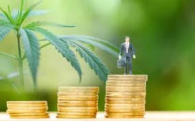 Make Your Cannabis Business Legitimate: How Cannabis CPA is Making It Happen.