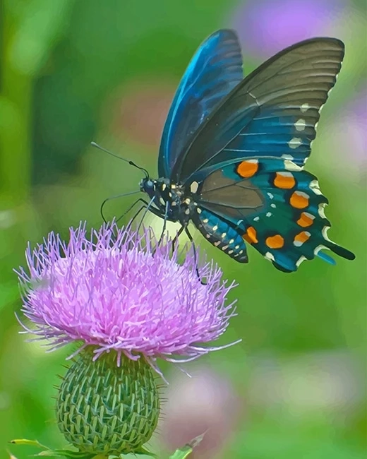 Unleashing the Canvas: Exploring Paint by Numbers with Kits, Butterflies, Dragons, and Flowers