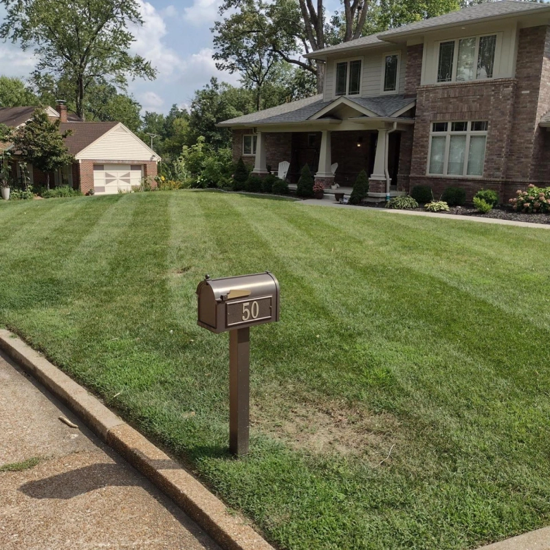 Benefits of professional lawn care