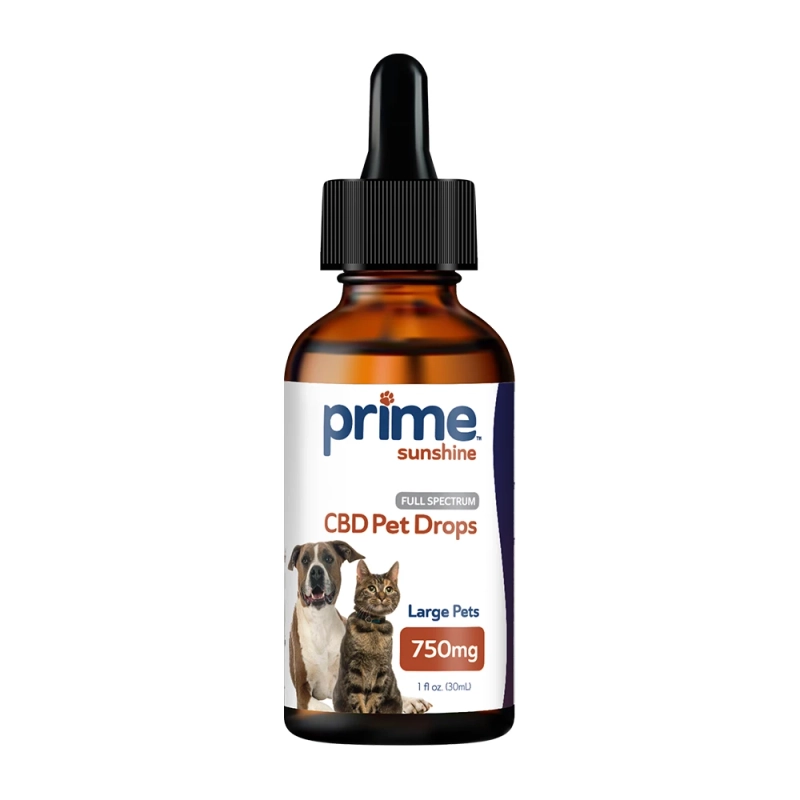 CBD for Pets: Unlocking the Benefits of CBD Oil for Your Furry Friends