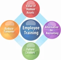 Which IT Training Program Is Best for IT Students