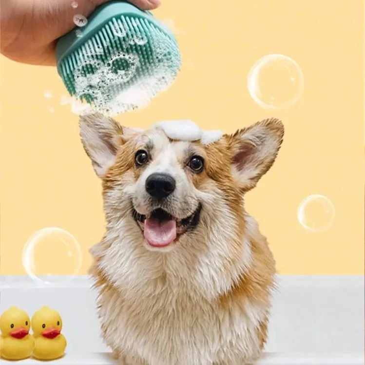 A ‘Pet-Tastic’ Solution For Your Furry Friends!