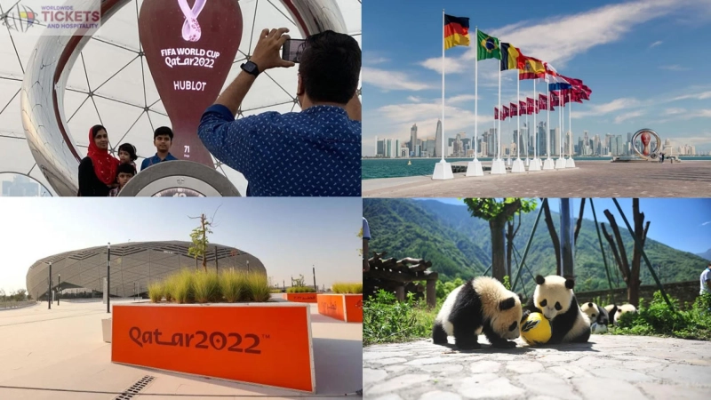 Qatar World Cup: China presents Football World Cup enormous pandas to Qatar