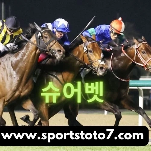 7 Step Checklist for Betting on Horse Races