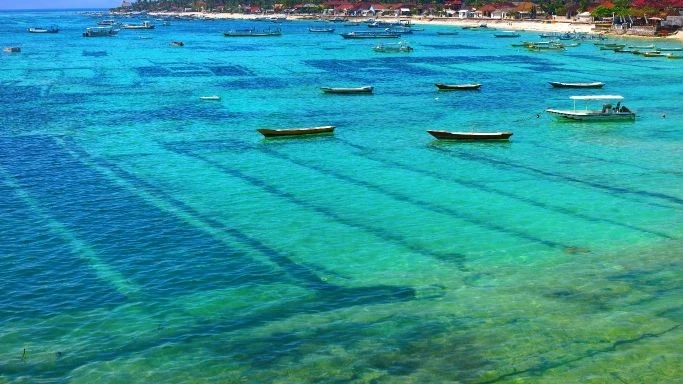 Commercial Seaweeds Market 2021-2026: Global Industry Trends, Share, Growth, Opportunity and Forecas