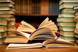 BSN Writing Mastery: