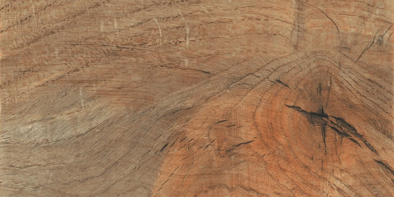 Top Trends in Bathroom Tiles to Elevate the Space