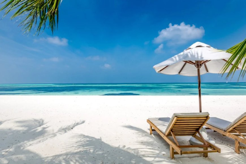 Beyond Sitting: Choosing the Perfect Beach Chair for Ultimate Comfort