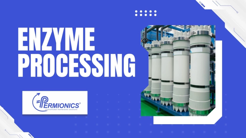 4 Key Challenges in Enzyme Processing and How to Solve Them