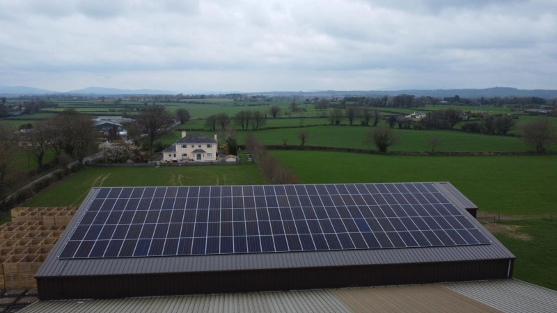 How Seai Grants Make Solar Panels Cheaper for Homeowners & Businesses?
