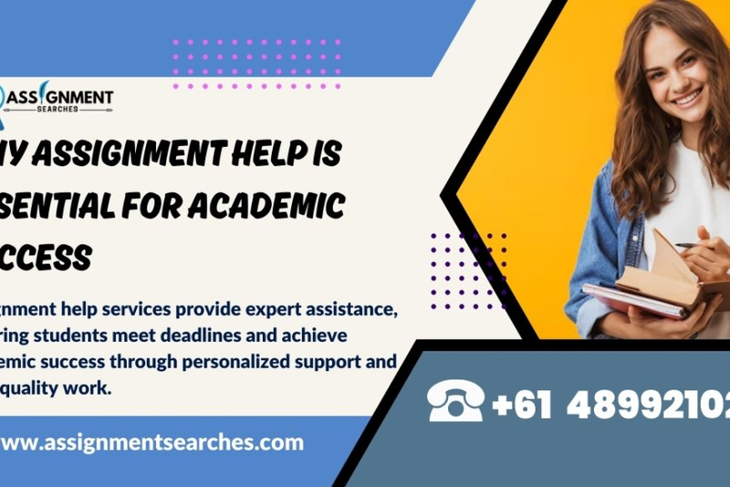 Why Assignment Help is Essential for Academic Success