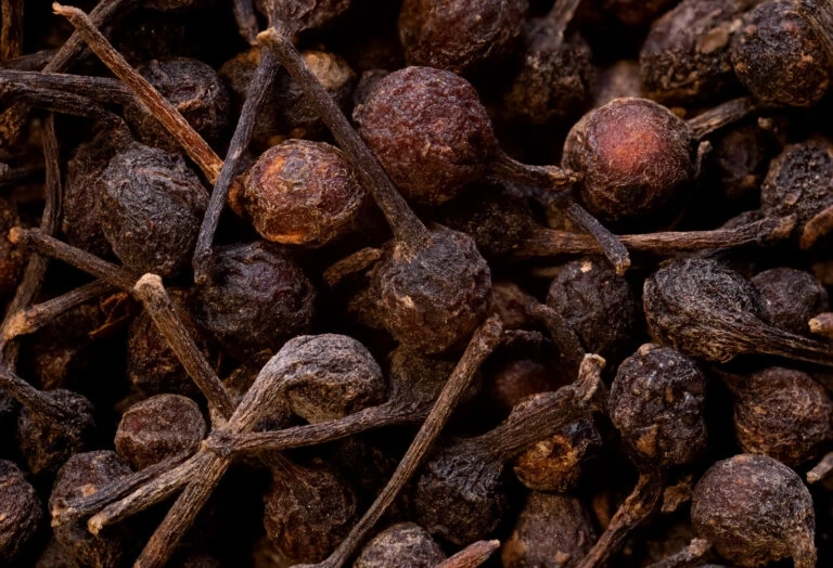 Madagascar Wild Peppercorns: Exploring the Rich Aroma, Unique Flavor, and Natural Power of Madagascar’s Forest Treasure
