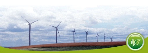 Ecological Web Hosting