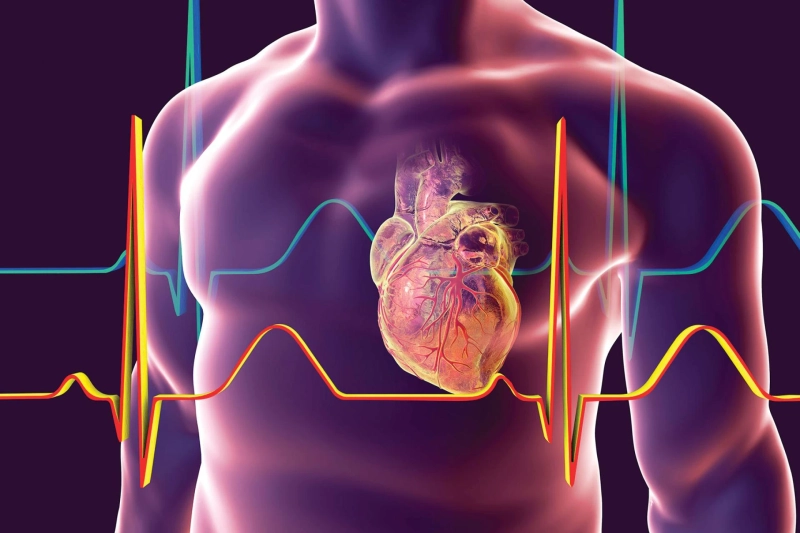 What does a heart specialist do?