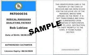 Unlocking Access: Your Guide to Medical Marijuana Card Doctors and Missouri Card Login