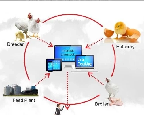 Improving Hatchery Operations with Advanced Management Software