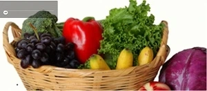 Significance of Food Safety Training Courses