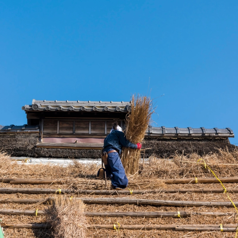 Experience Home-Style Comforts in a Cool-Climate Group Stay