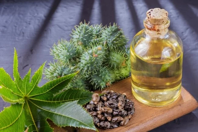 Using Aloe Vera and Coconut Oil For Hair Growth