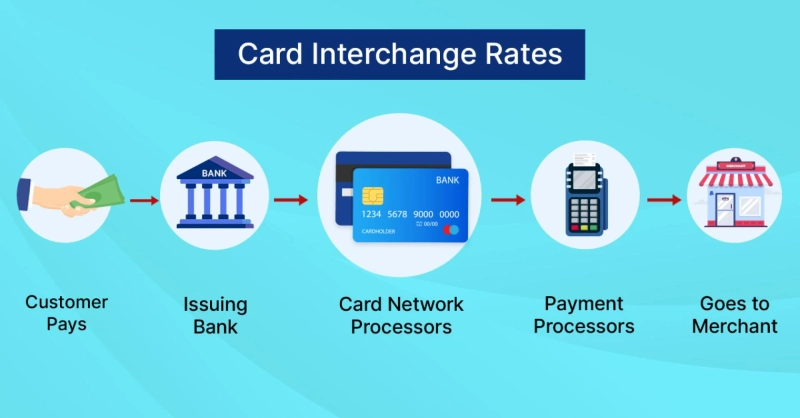 The Unseen Forces of Credit Card Interchange Rates