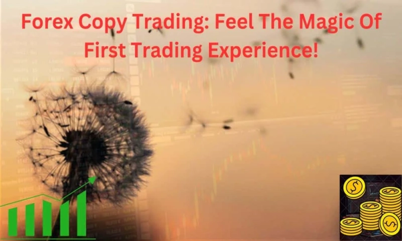 Forex Copy Trading: Feel The Magic Of First Trading Experience!