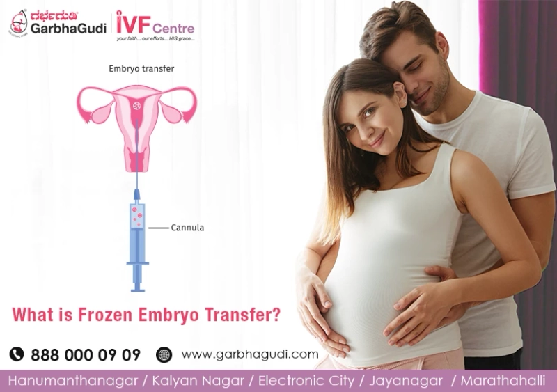 what is a frozen embryo