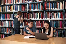 Discover the Charm of the Silveira Farm Book and Emily Barber Adventure Books