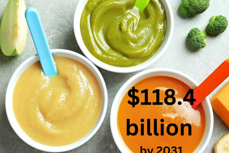 Regulatory Landscape and Impact on Baby Food Market Dynamics
