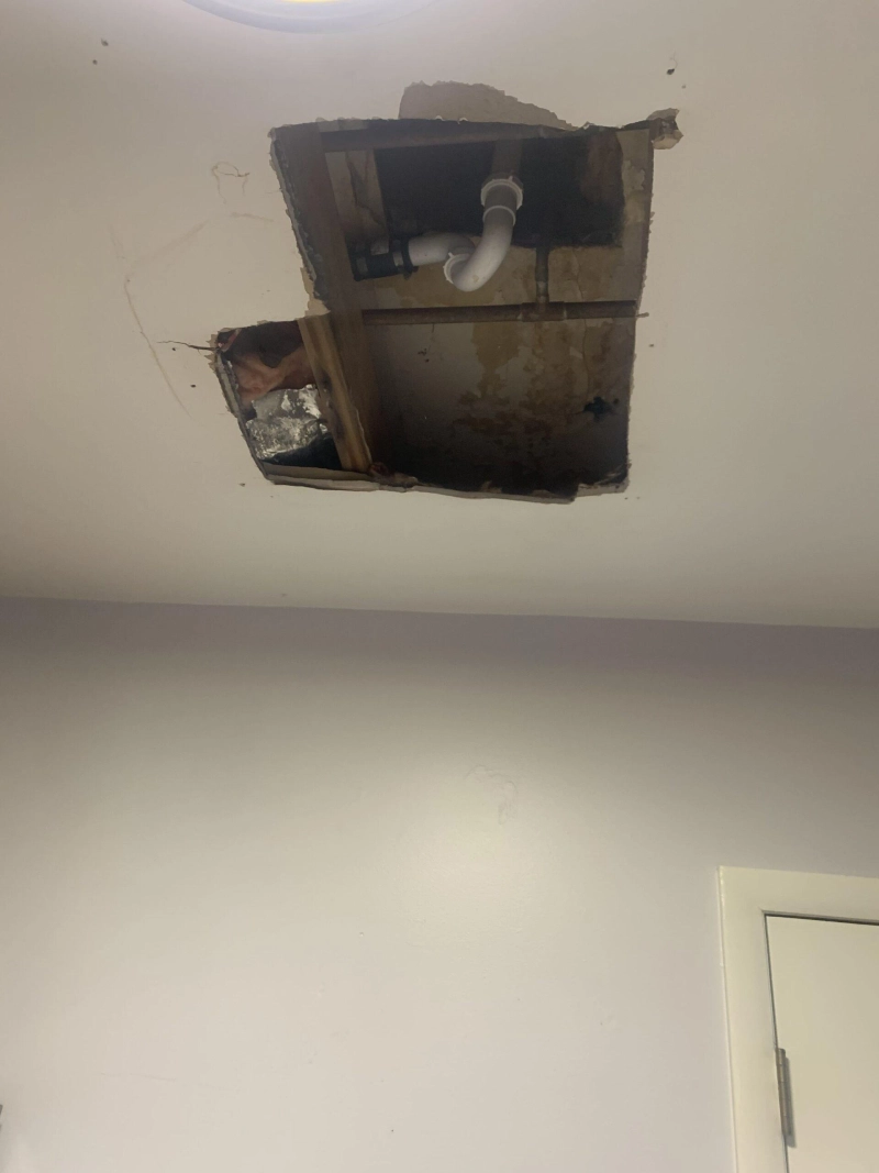 Ann Arbor's Finest General Contractors: Unlock the Potential of My Construction Guy